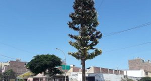 Escasez de antenas retrasaría llegada de tecnología 5G al Perú, advierten